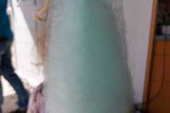 70A793D2-3753-4AAD-A3CC-7BCAF6C0EAAE